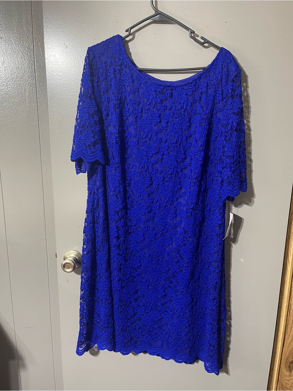 NWT Connected Apparel lace plus size 20 Dress, lined, royal blue